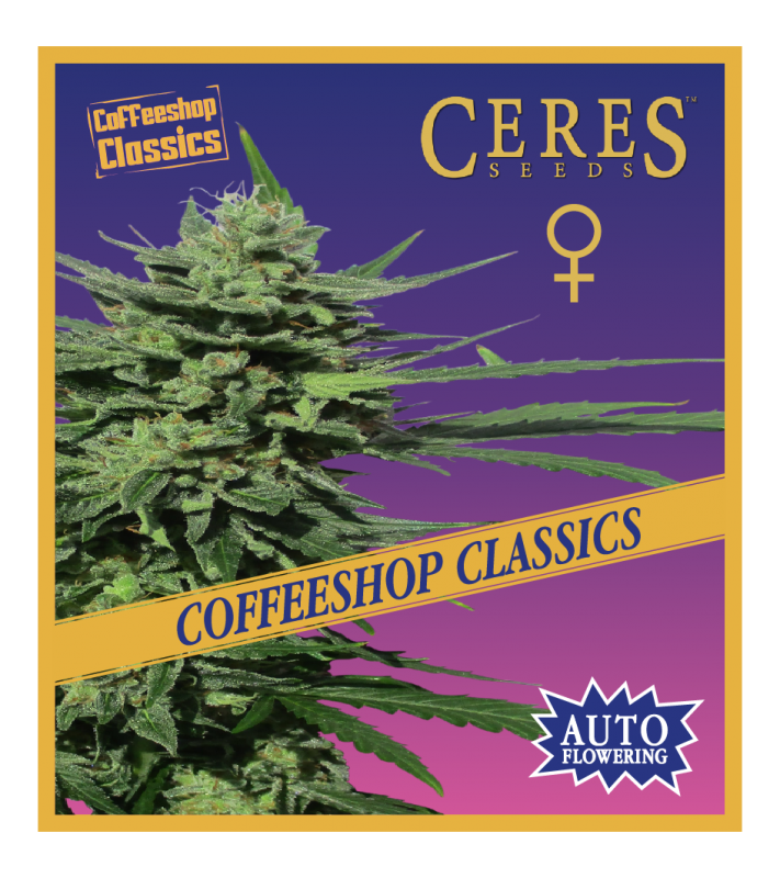 Auto Lemonesia (Autoflowering Seeds) - Ceres Seeds