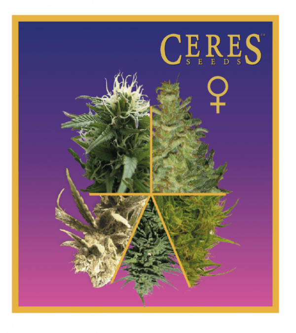 Ceres Mix (Feminized Seeds)