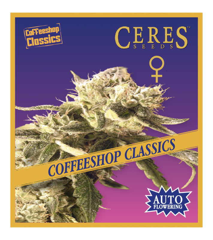 Easy Rider (Auto-flowering Seeds) - Ceres Seeds