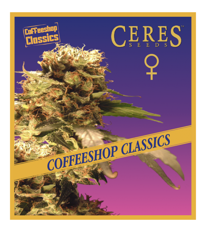 Orange Bud (Feminized Seeds) - Ceres Seeds