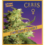 Skunk Haze (Feminized Seeds) - Ceres Seeds
