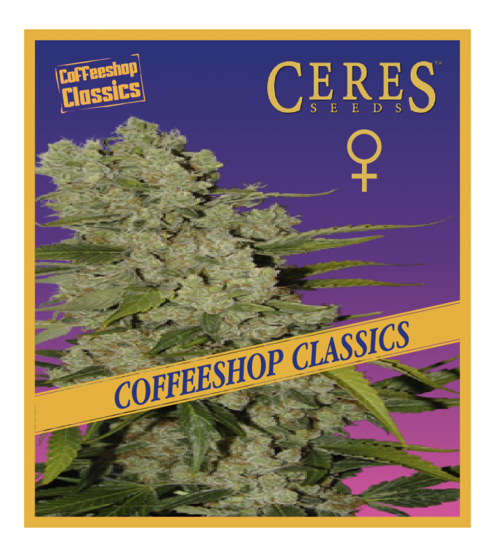 White Widow (Feminized Seeds) - Ceres Seeds