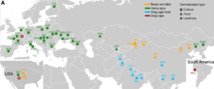 10.000 BCE Chinese farmers grow 