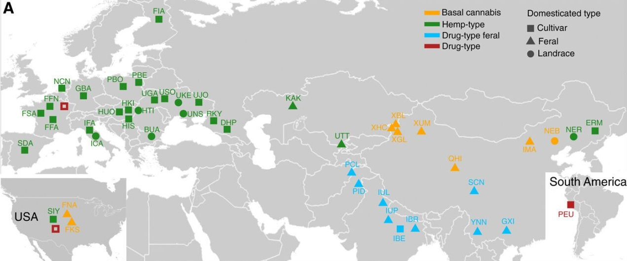 10.000 BCE Chinese farmers grow