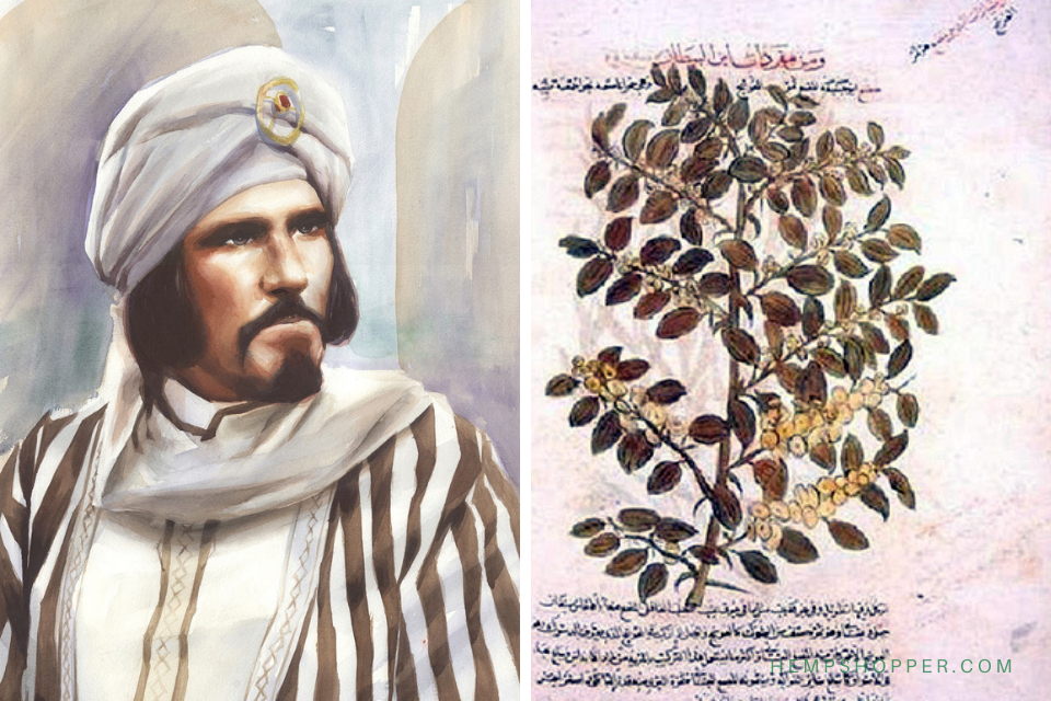 1200: Botanist Ibn al-Bayṭār describes the cultivation of "Konnab Indi" (Cannabis indica)