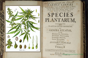 1753: Cannabis is given its botanical name