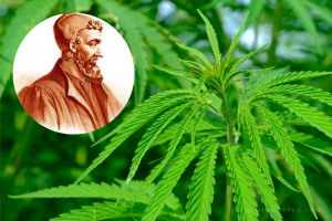 199 CE: Claudius Galen describes the hedonistic use of marijuana