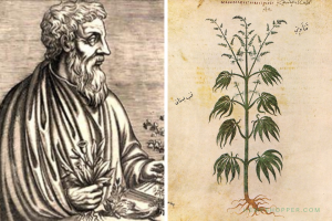 77 CE: Dioscorides describes cannabis in 'De Materia Medica'