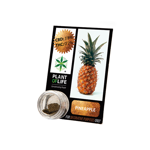 Buy Pineapple Solid 3.8% CBD 1 g