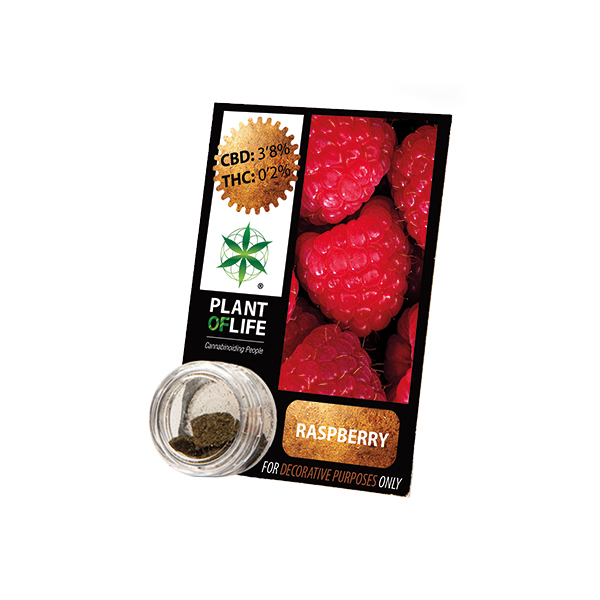Buy Raspberry Solid 3.8% CBD 1 g