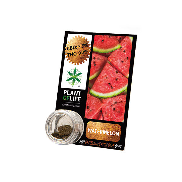 Buy Watermelon Solid 3.8% CBD 1 g