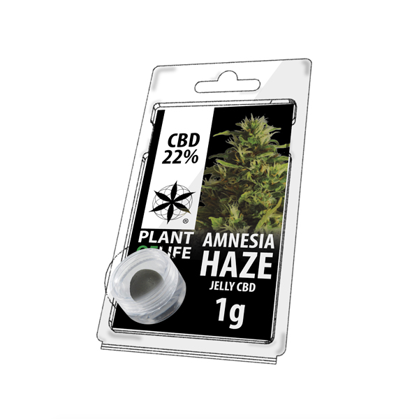 Buy Amnesia Haze Jelly 22% CBD 1 g