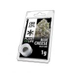 Buy Blue Cheese Jelly 22% CBD 1 g