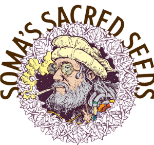 Soma's Sacred Seeds