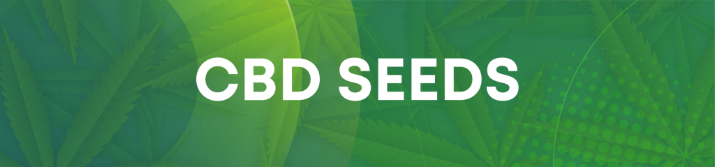 Hempshopper CBD Seeds