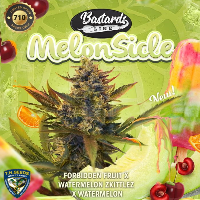Melon Sicle Limited Edition (Feminized Seeds) T.H.Seeds