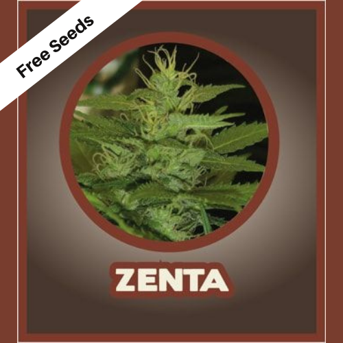 Zenta - Free Seeds - John Sinclair Seeds