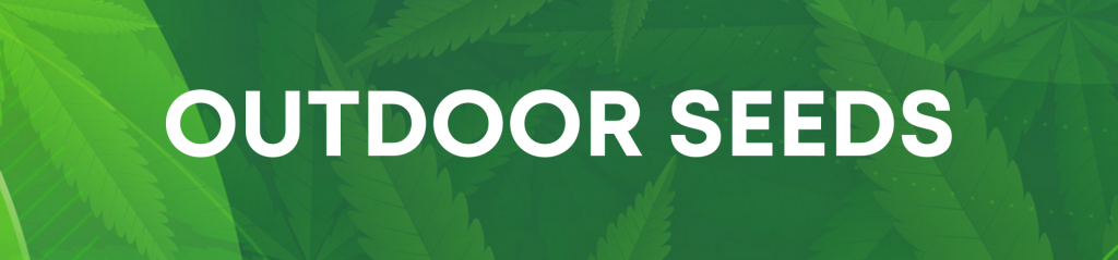 Outdoor Seeds - Cannabis Seeds - Hempshopper Amsterdam