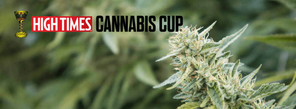 High Times Cannabis Cup Winners - Hempshopper Amsterdam